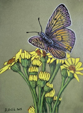 Metul na zlati rozgi, 30x40 cm, 2025, Jože Anžič